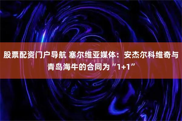 股票配资门户导航 塞尔维亚媒体：安杰尔科维奇与青岛海牛的合同为“1+1”
