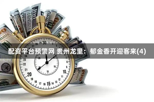 配资平台预警网 贵州龙里：郁金香开迎客来(4)