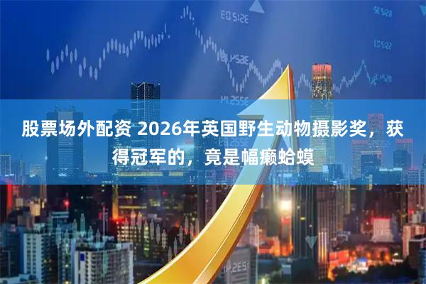 股票场外配资 2026年英国野生动物摄影奖，获得冠军的，竟是幅癞蛤蟆