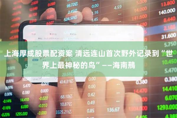 上海厚成股票配资案 清远连山首次野外记录到“世界上最神秘的鸟”——海南鳽